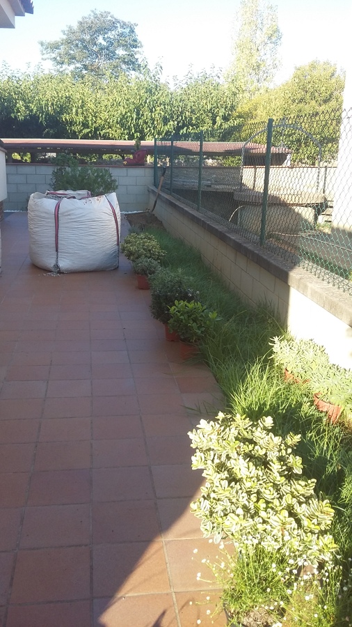 Inicio desherbado