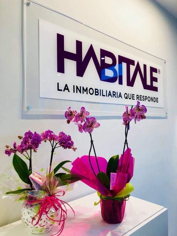 Inmobiliaria 7