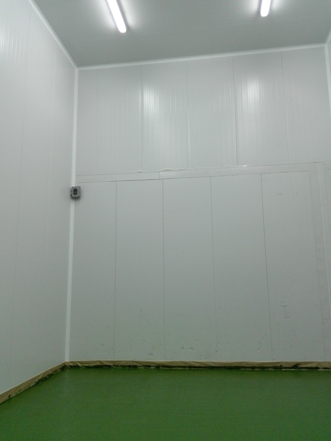 Construccion Recinto Frigorifico de Baja Temperatura (camara) con Foso