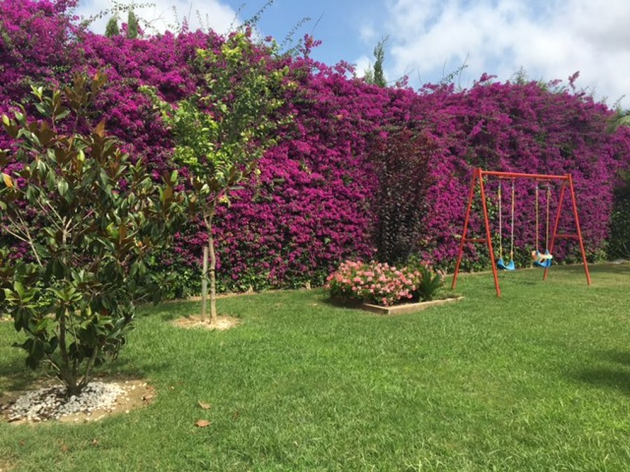 JARDIN