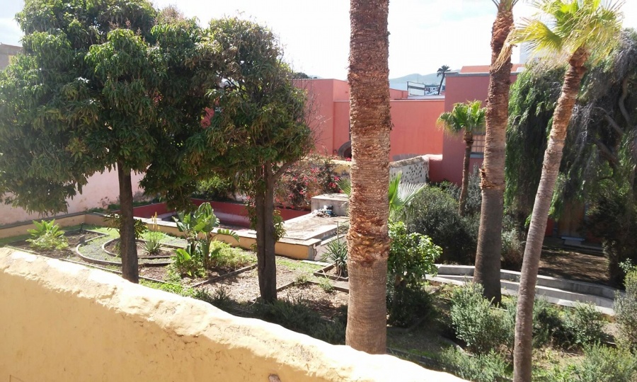 jardin