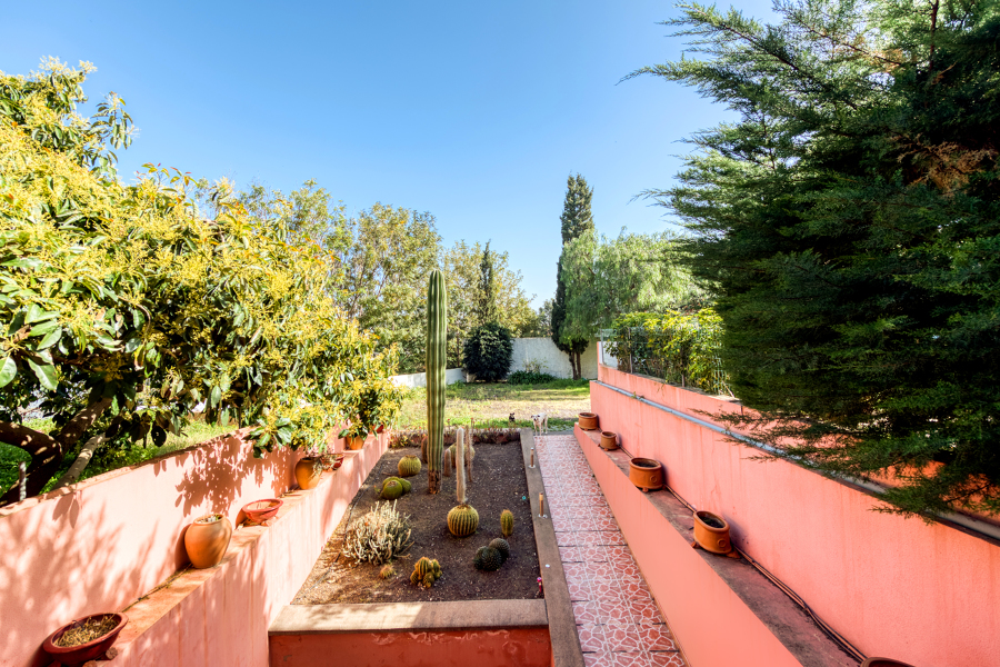 Jardín
