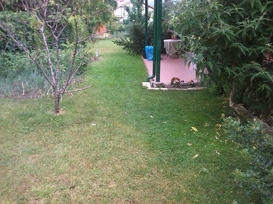 Jardín