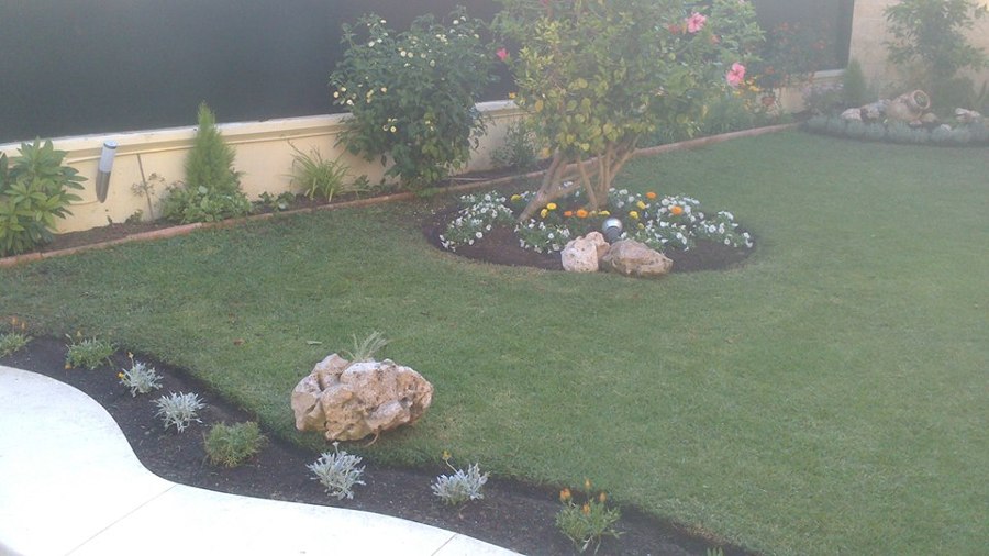 jardín