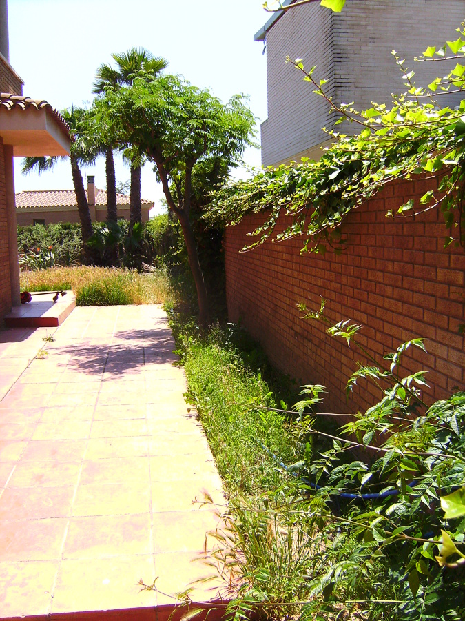Jardín abandonado