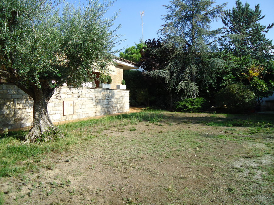 jardín (antes)