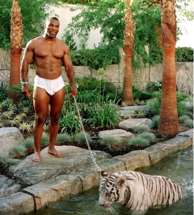 jardín de mike tyson