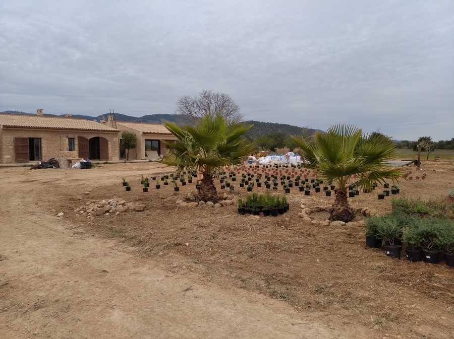 Jardín diseño y automatizacion