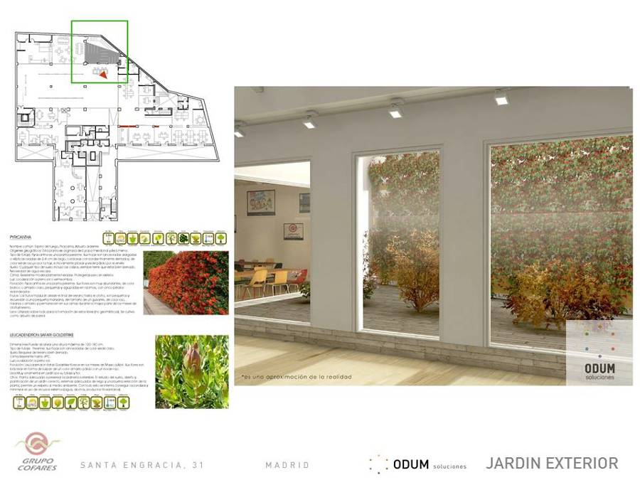 JARDIN EXTERIOR