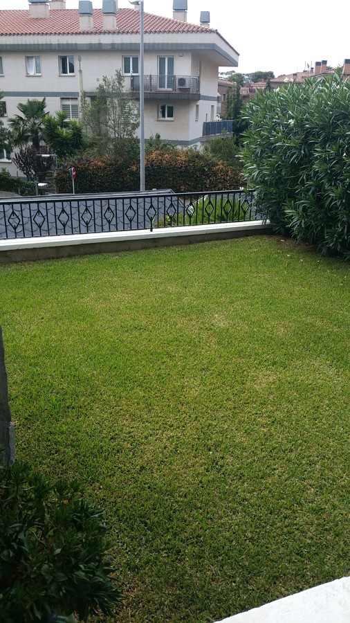 Jardin grama