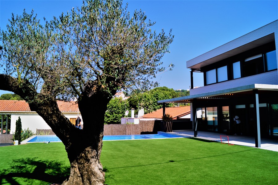 Jardín/piscina