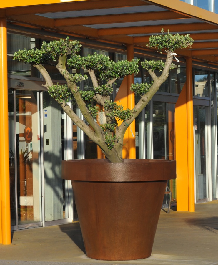 Jardinera Corten
