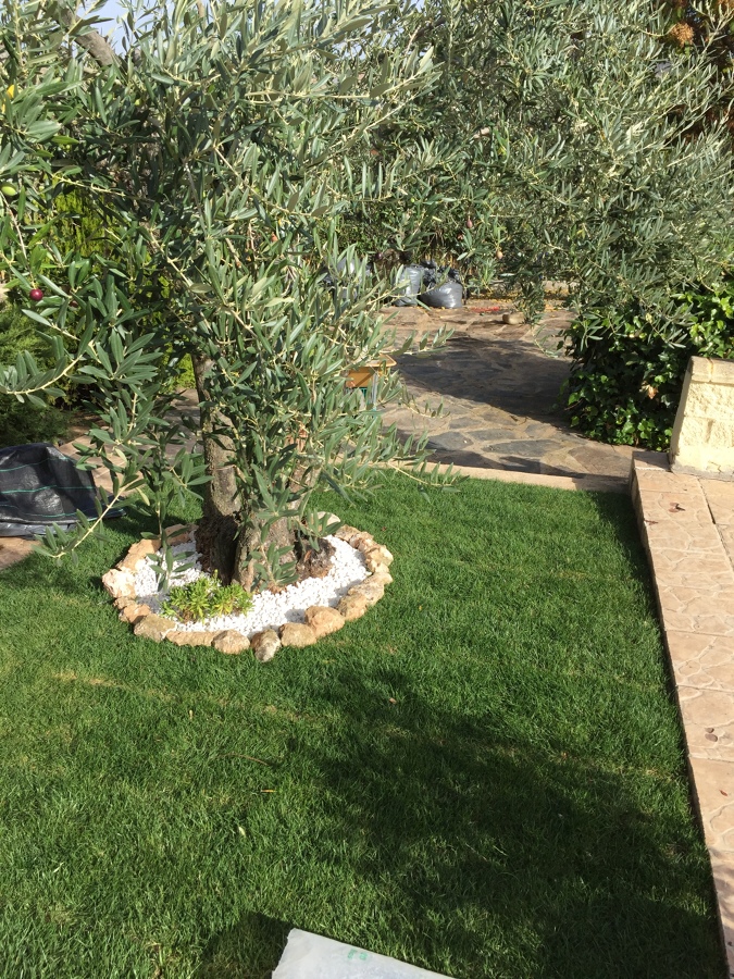 Jardinería 