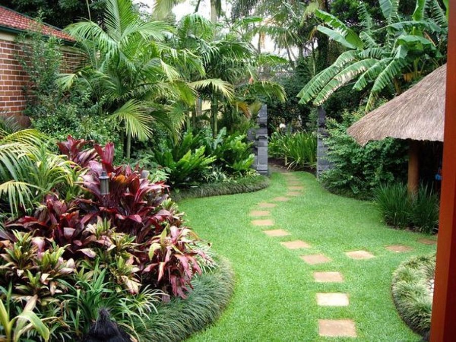 Jardinero Marbella, Jardinero Estepona, Jardinero Sotogrande. Jardinería Marbella, Jardinería Malaga