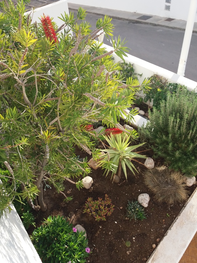 jardines