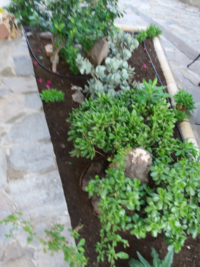 jardines