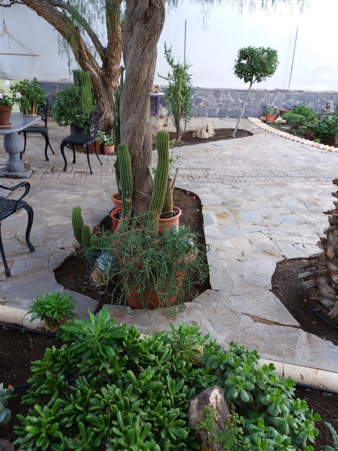 jardines