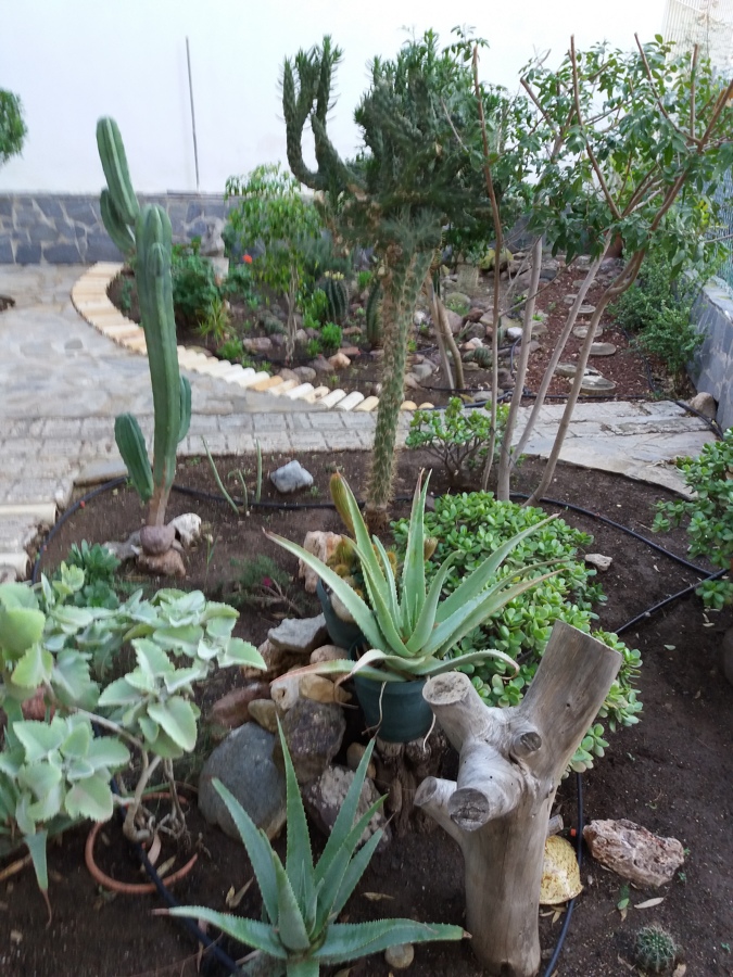jardines
