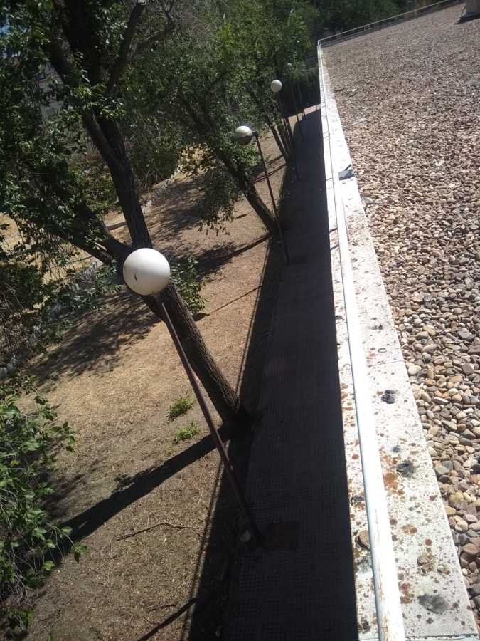 jardines traseros 1
