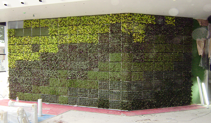 jardines verticales