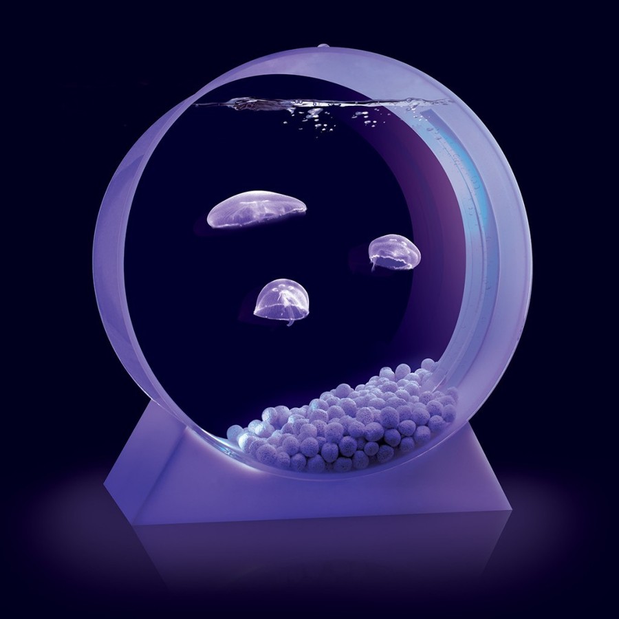 jellyfish-tank-1024x1024-1024x1024