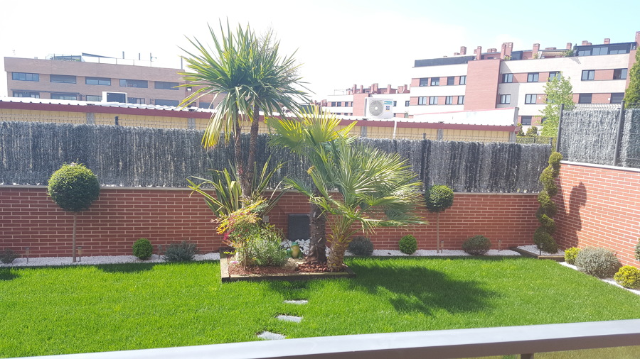 jpg 0015