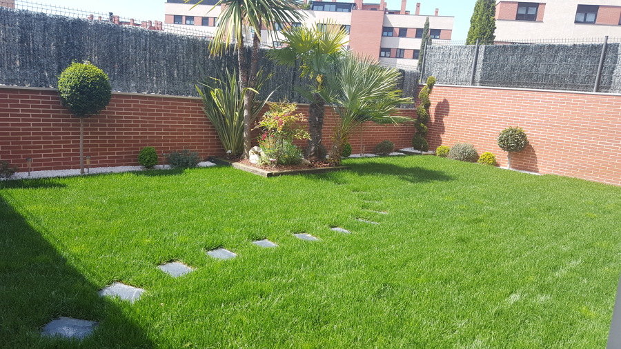 jpg 0016