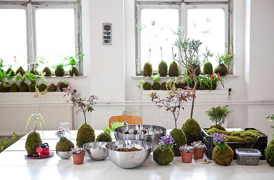 Elabora Tu Propia Kokedama y Presume de Jardín Moderno | Ideas Decoradores