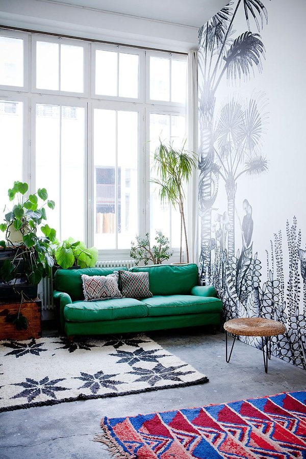 La selva en casa.