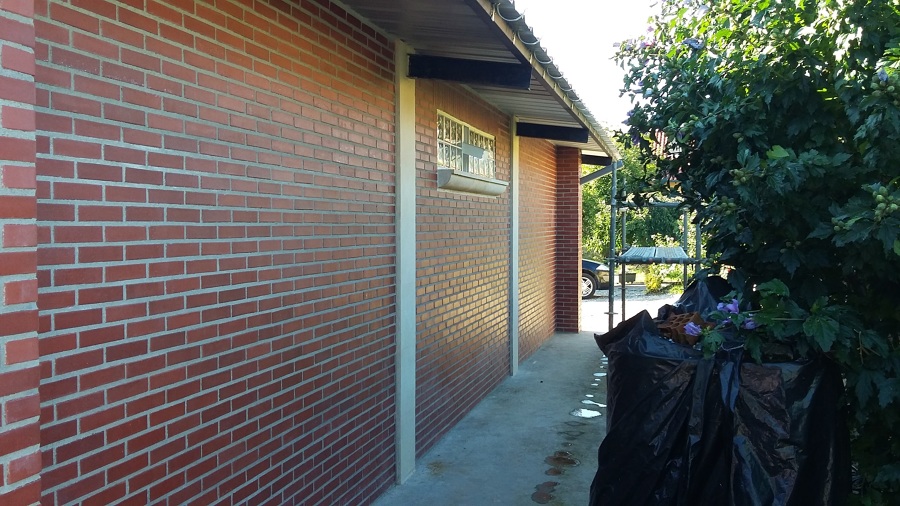 lateral izquierdo