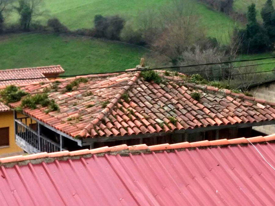 Limpieza techo