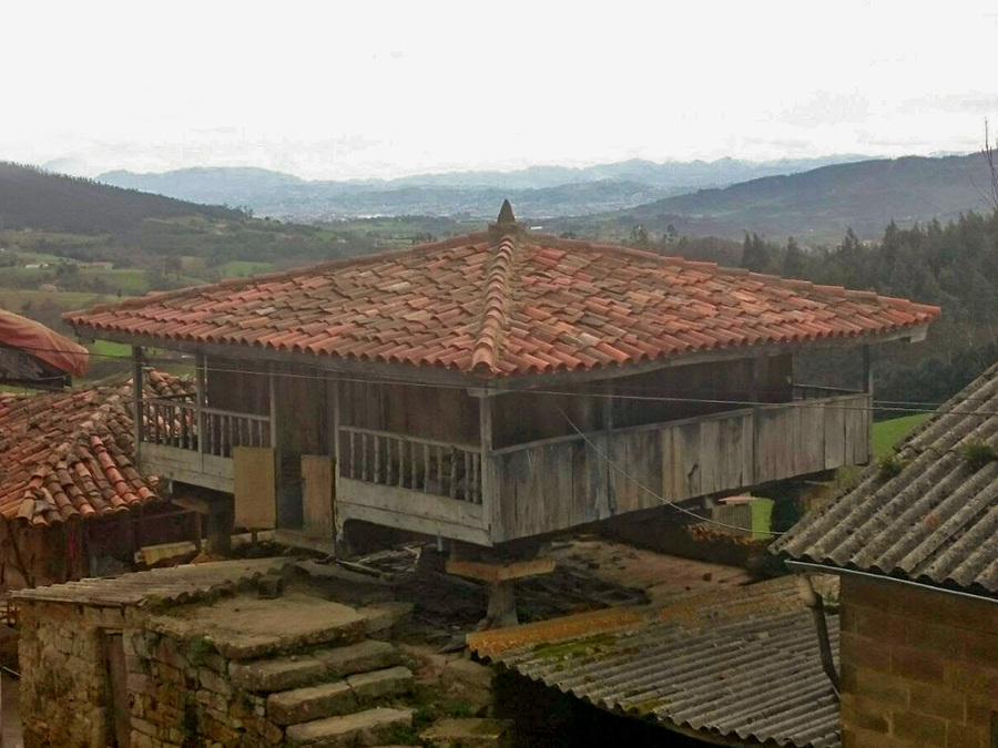 Limpieza techo