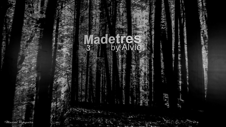 Logo Madetres