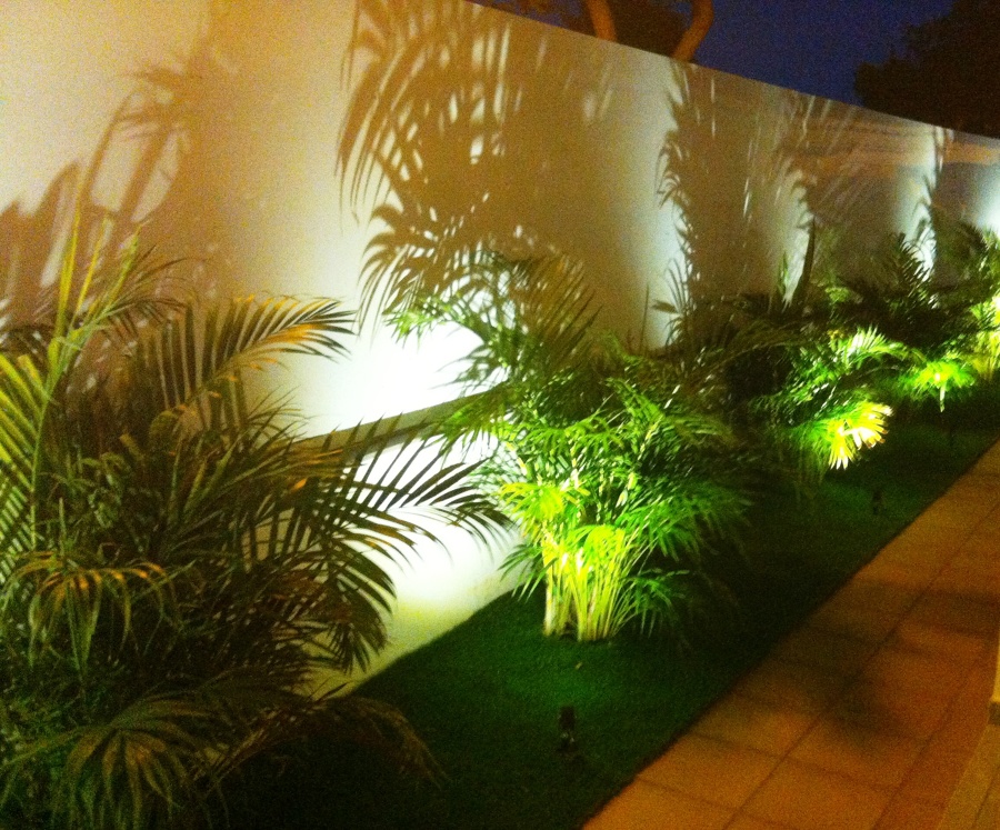 Luces y sombras