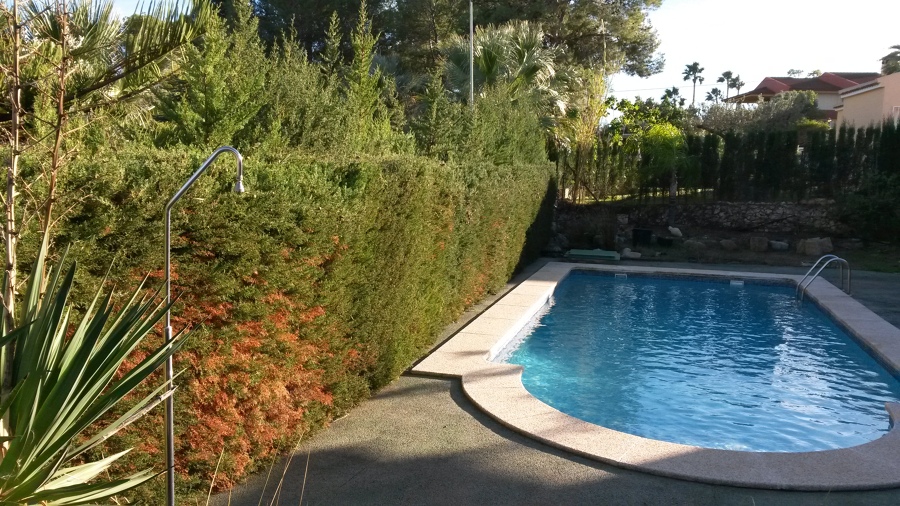 Mantenimiento de piscina y jardín