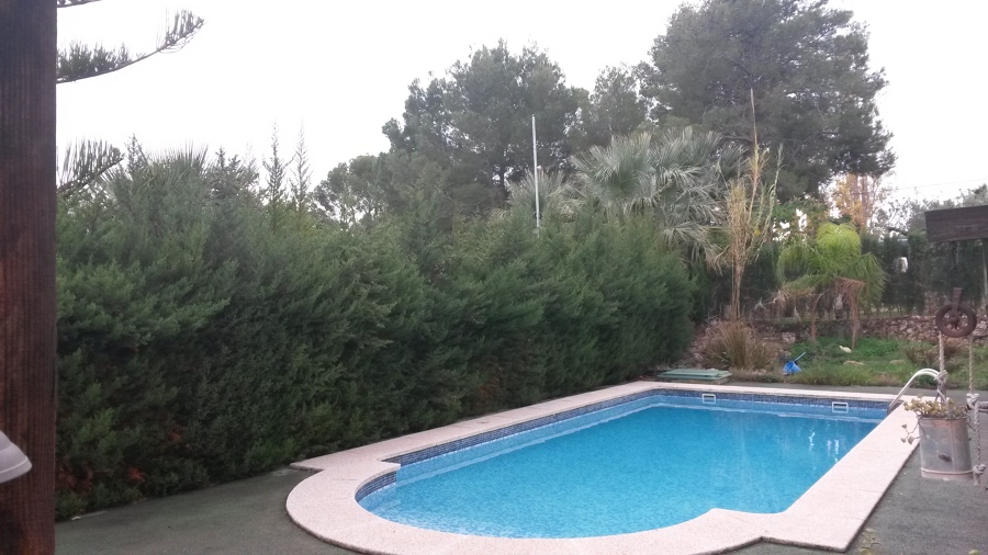Mantenimiento de piscina