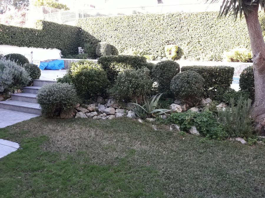 Mantenimiento jardín