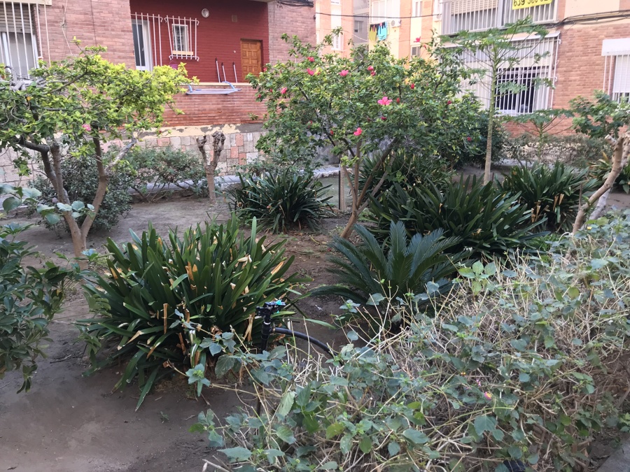 Mantenimiento y podas de jardines