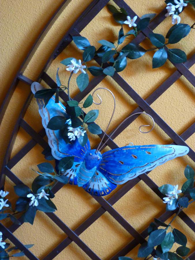 mariposa eslabon