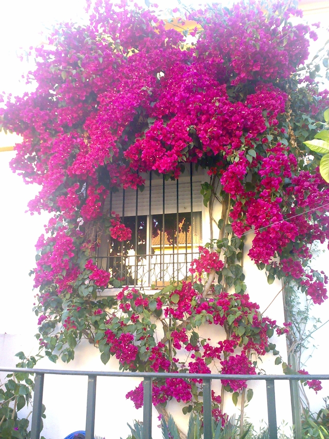 Mi casa....