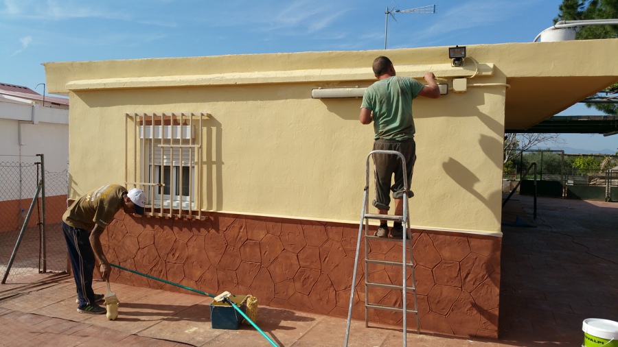 Monocapa y pintura 