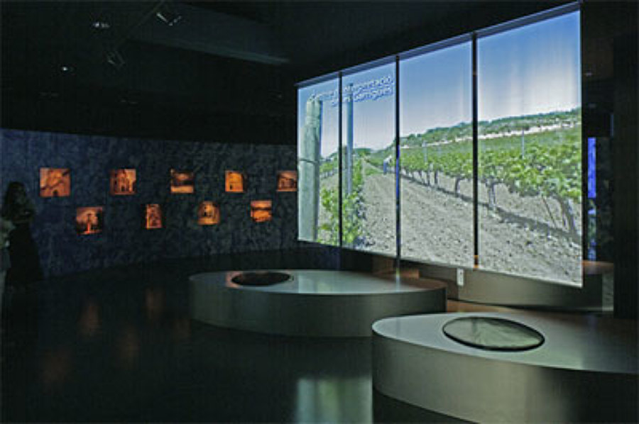 MUSEO 