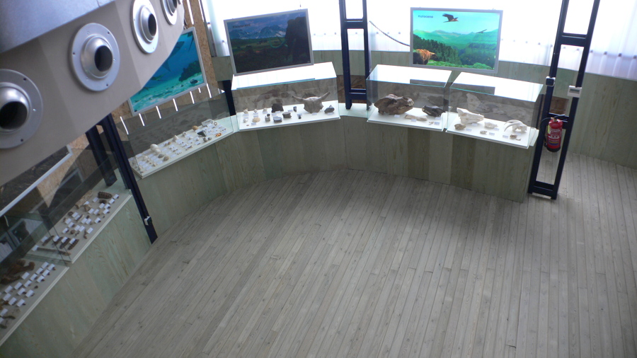 Museo de la Vida