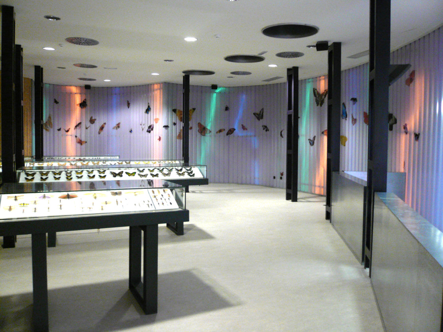 Museo de la Vida