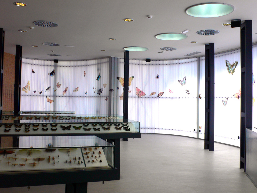 Museo de la Vida