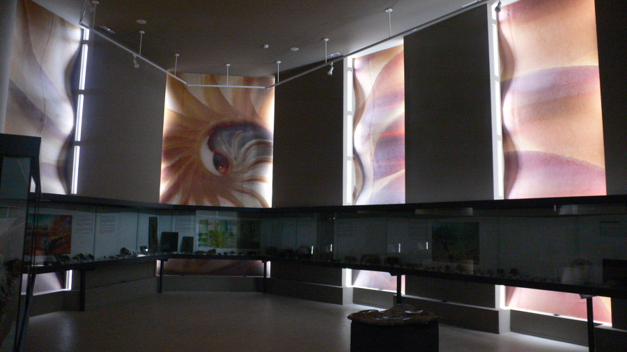 Museo de la Vida