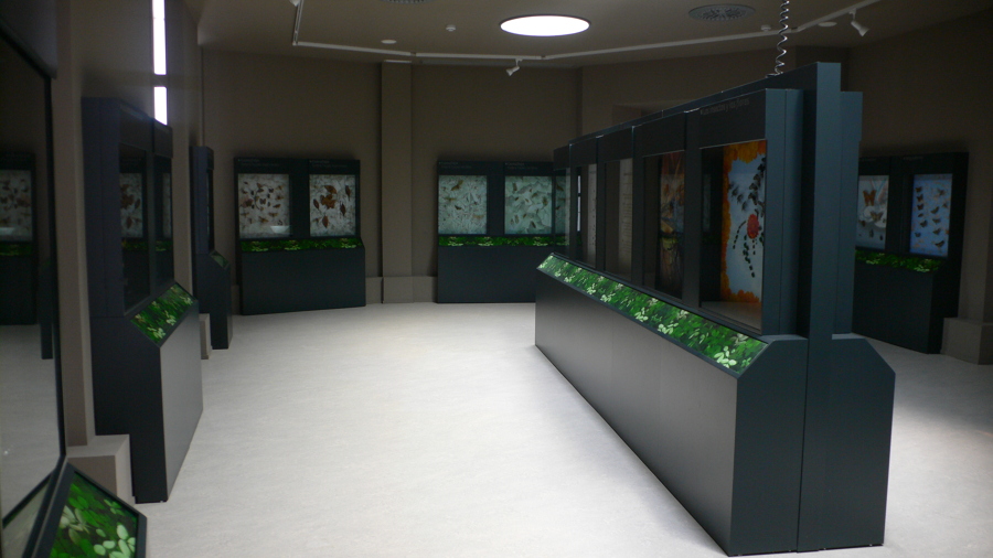 Museo de la Vida