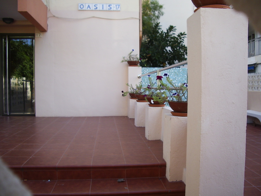 Oasis Gandia