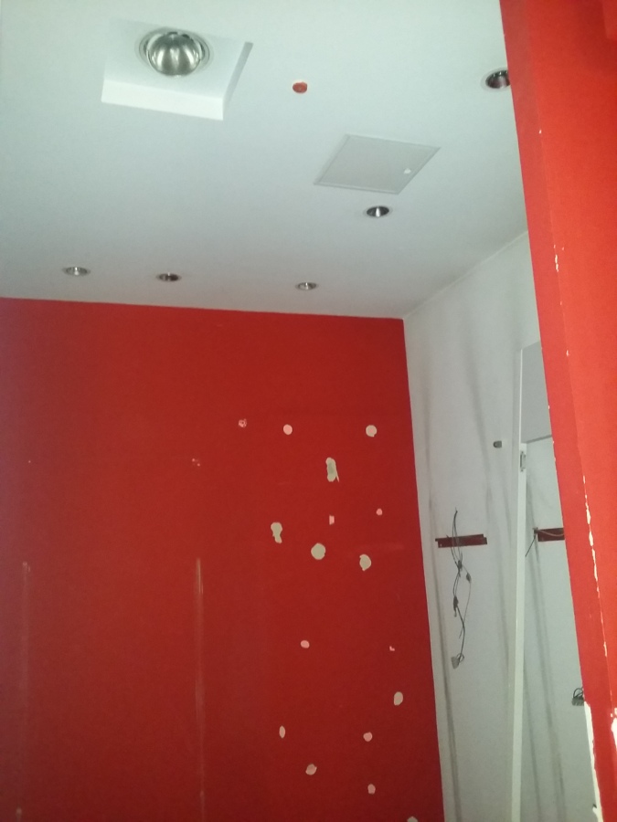 OBRAS EN TECHOS Y PAREDES DE NEW LIFE