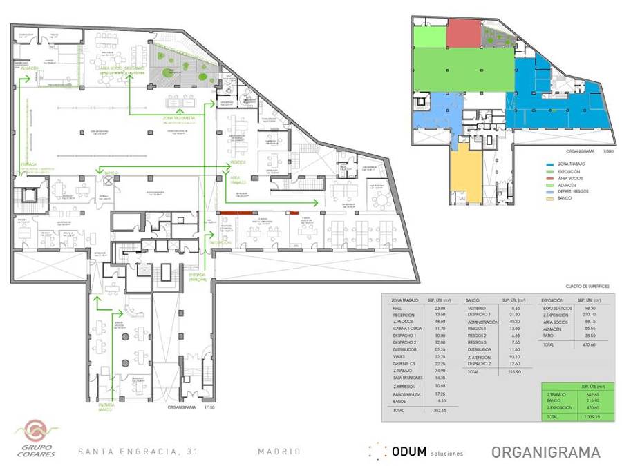ORGANIGRAMA